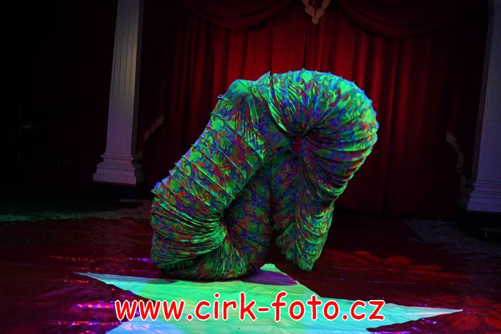 DSC_3827 (Kopírovat)