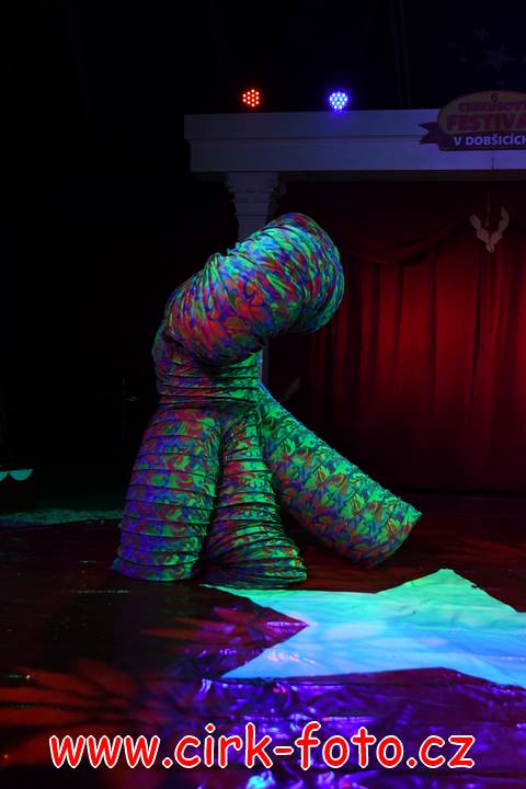 DSC_3834 (Kopírovat)