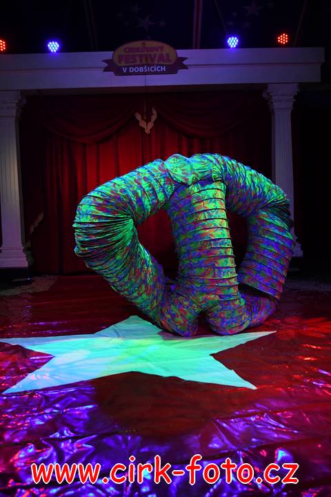 DSC_3854 (Kopírovat)