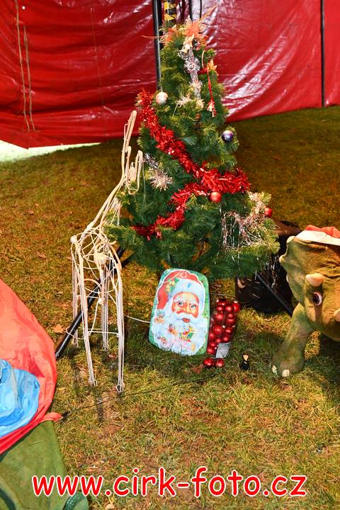 DSC_4090 (Kopírovat)