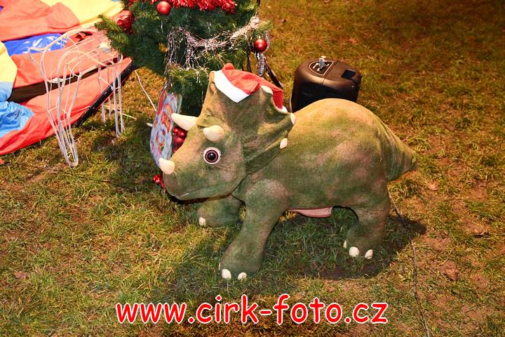 DSC_4091 (Kopírovat)