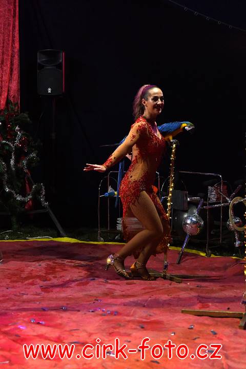 DSC_4293 (Kopírovat)