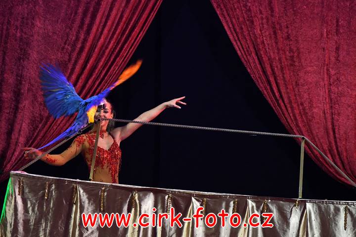 DSC_4298 (Kopírovat)