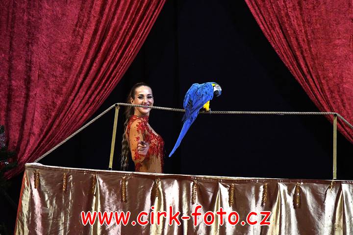 DSC_4301 (Kopírovat)