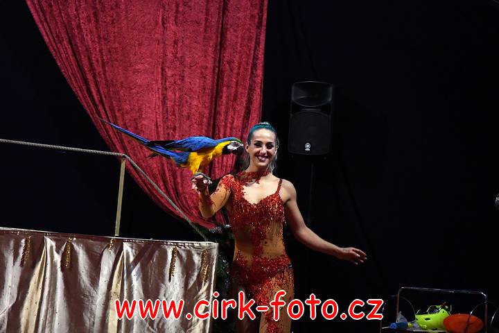 DSC_4302 (Kopírovat)