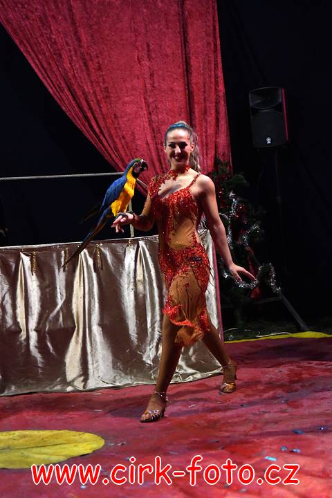 DSC_4303 (Kopírovat)