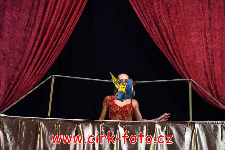 DSC_4310 (Kopírovat)