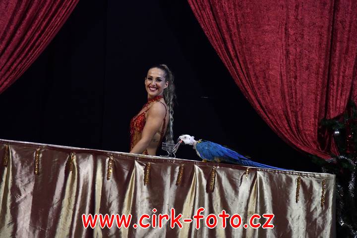 DSC_4320 (Kopírovat)