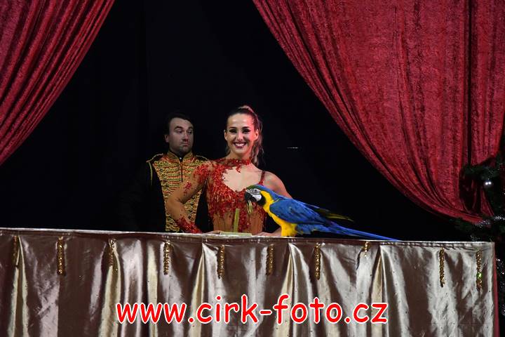 DSC_4336 (Kopírovat)