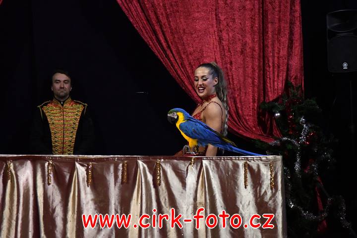 DSC_4340 (Kopírovat)