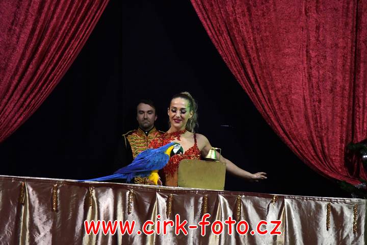 DSC_4343 (Kopírovat)