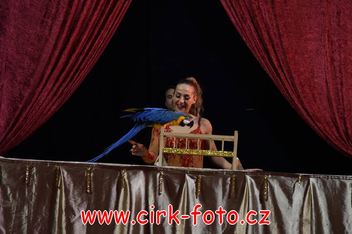 DSC_4348 (Kopírovat)