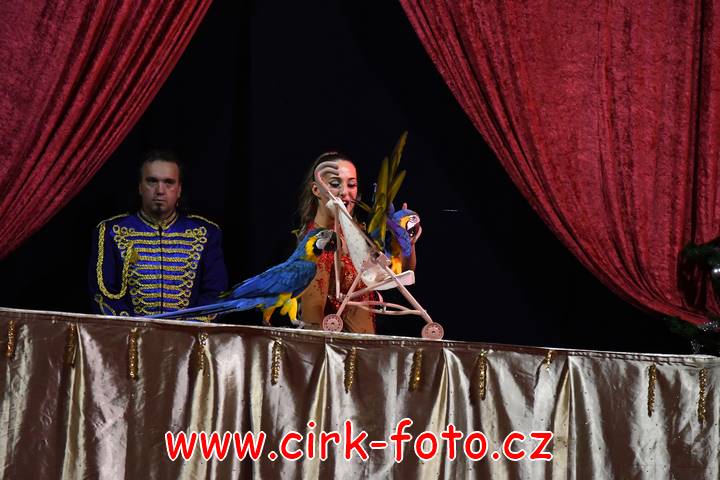 DSC_4353 (Kopírovat)