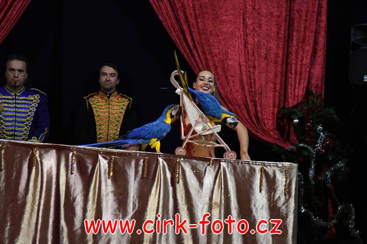 DSC_4355 (Kopírovat)