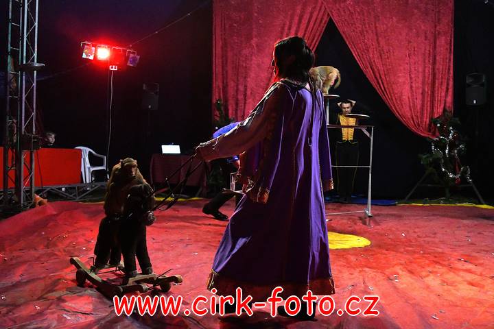 DSC_4510 (Kopírovat)