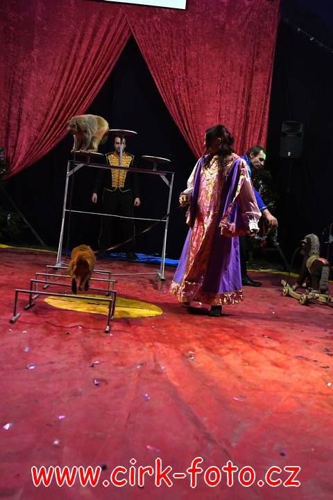 DSC_4517 (Kopírovat)