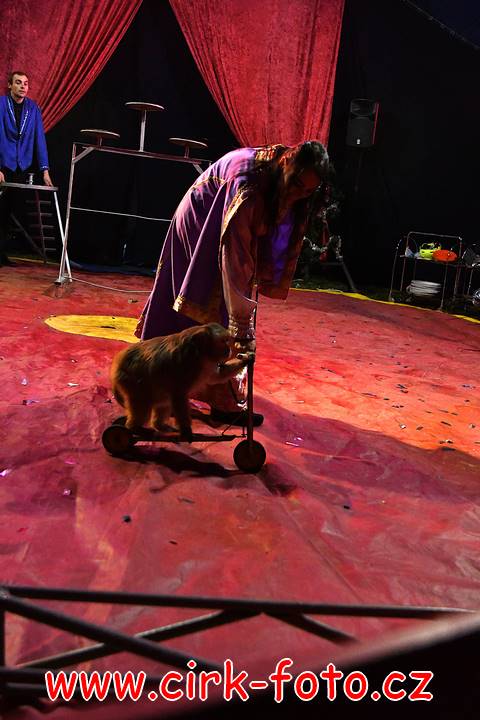 DSC_4529 (Kopírovat)