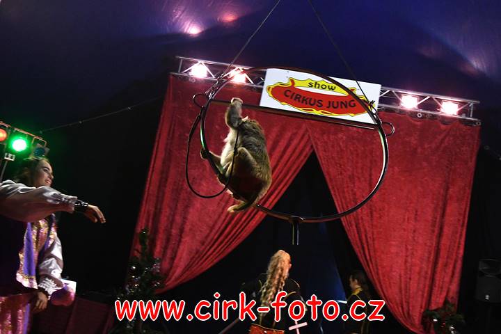 DSC_4540 (Kopírovat)