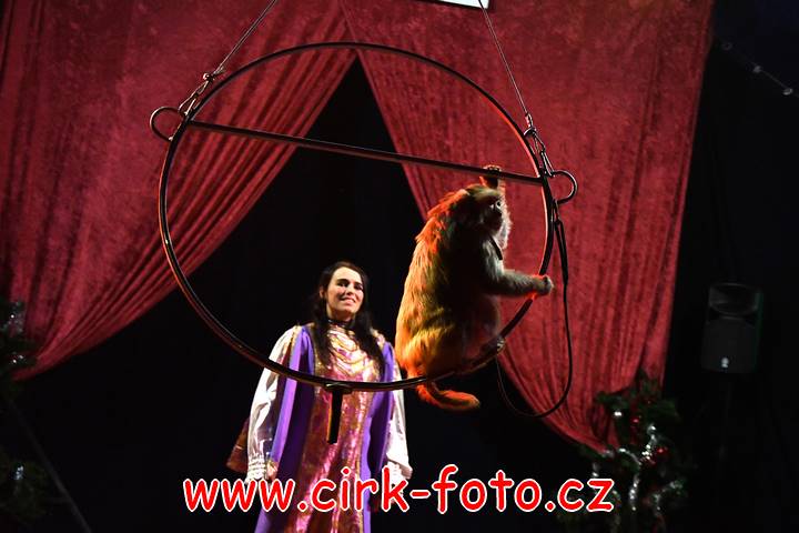 DSC_4542 (Kopírovat)