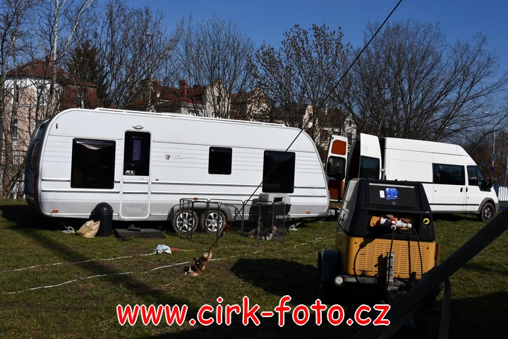 DSC_4744 (Kopírovat)