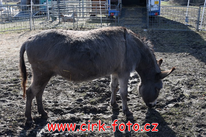 DSC_4750 (Kopírovat)