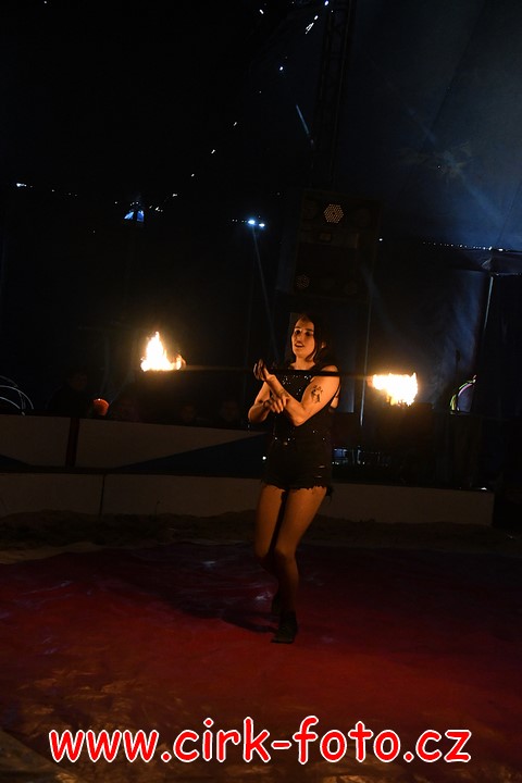 DSC_4912 (Kopírovat)