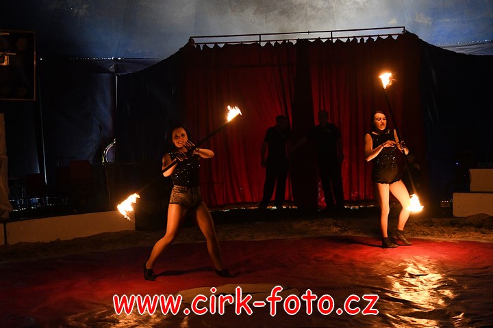 DSC_4914 (Kopírovat)