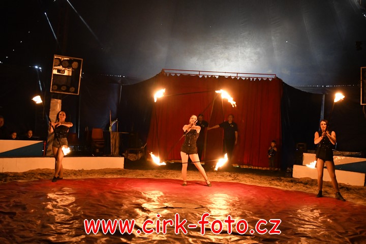 DSC_4919 (Kopírovat)