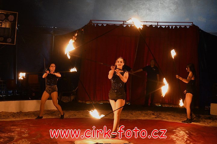 DSC_4921 (Kopírovat)