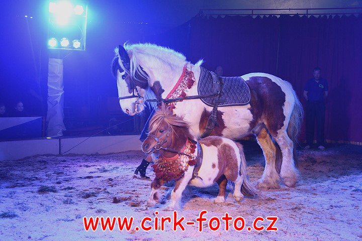 DSC_4956 (Kopírovat)