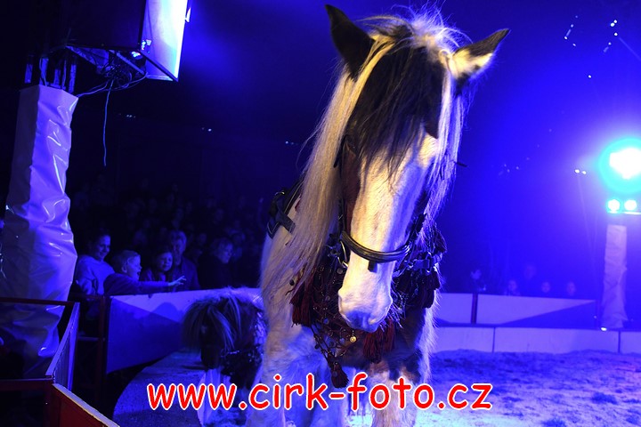 DSC_4958 (Kopírovat)