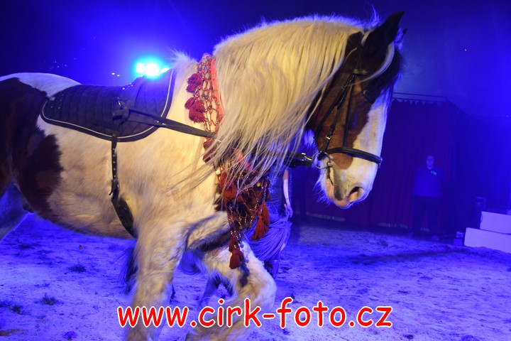 DSC_4959 (Kopírovat)