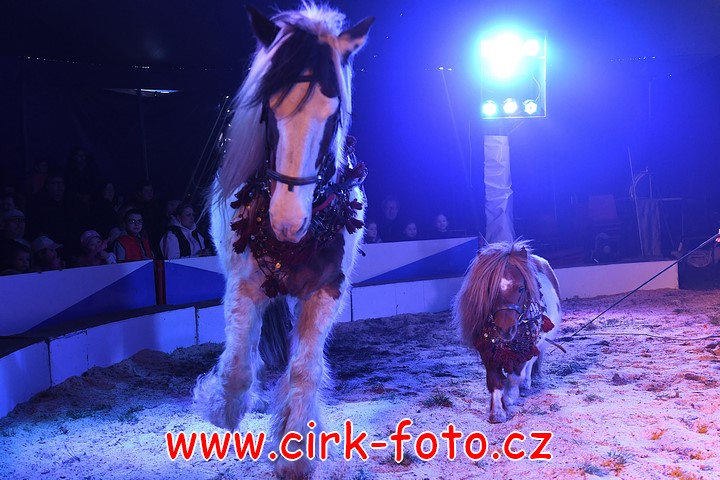 DSC_4962 (Kopírovat)