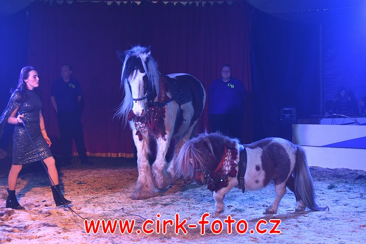 DSC_4963 (Kopírovat)