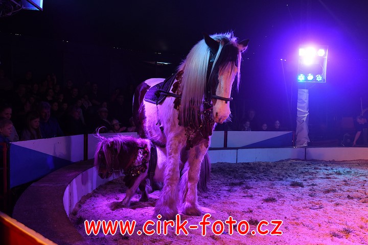 DSC_4974 (Kopírovat)