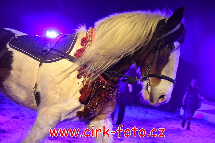 DSC_4976 (Kopírovat)