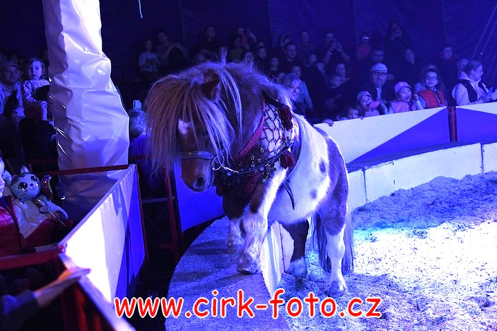 DSC_4979 (Kopírovat)