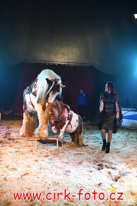 DSC_4983 (Kopírovat)