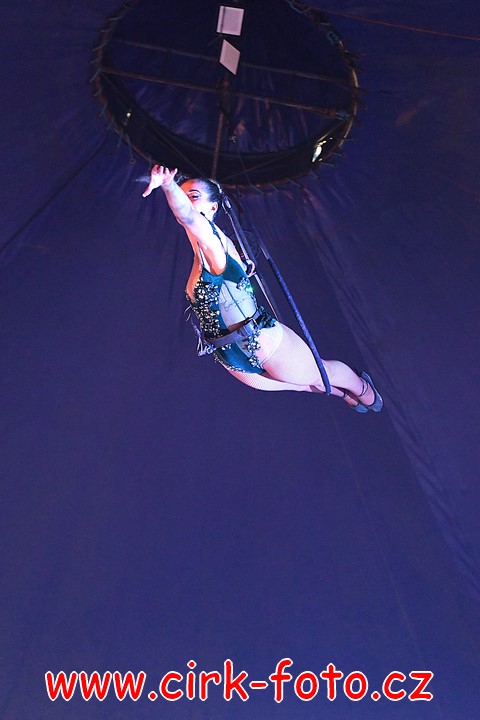 DSC_5011 (Kopírovat)