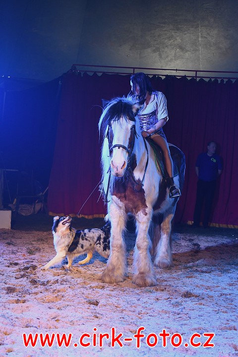 DSC_5081 (Kopírovat)