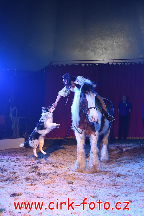 DSC_5087 (Kopírovat)