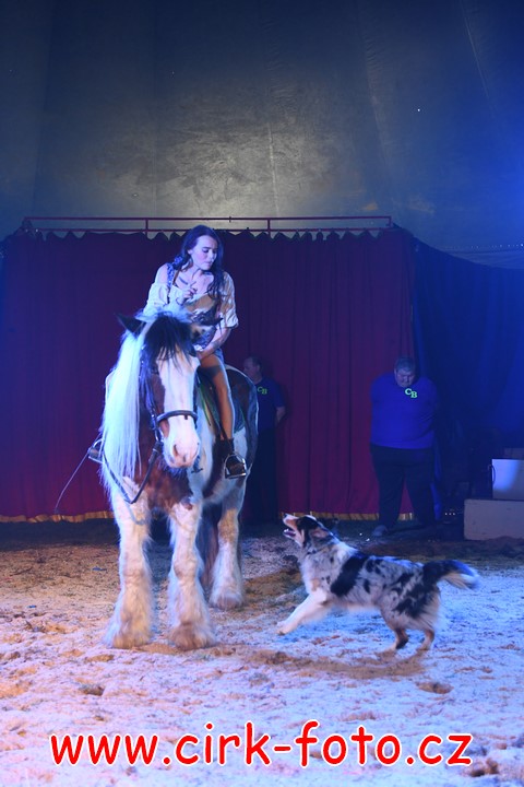 DSC_5090 (Kopírovat)