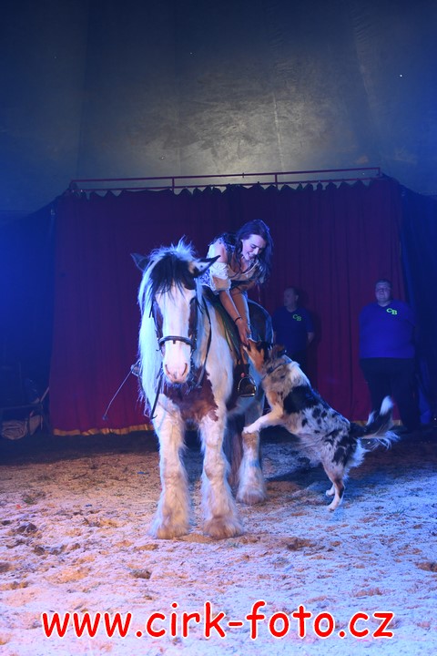 DSC_5094 (Kopírovat)