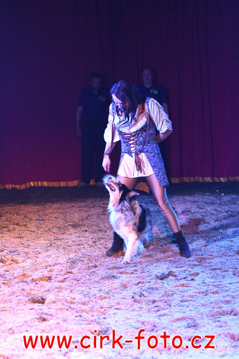 DSC_5111 (Kopírovat)