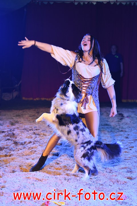 DSC_5116 (Kopírovat)