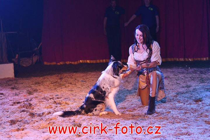 DSC_5133 (Kopírovat)