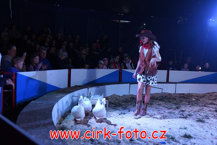 DSC_5146 (Kopírovat)