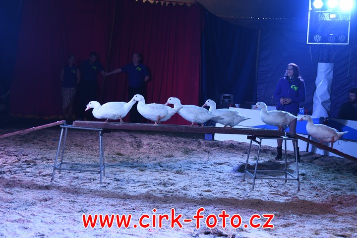 DSC_5149 (Kopírovat)