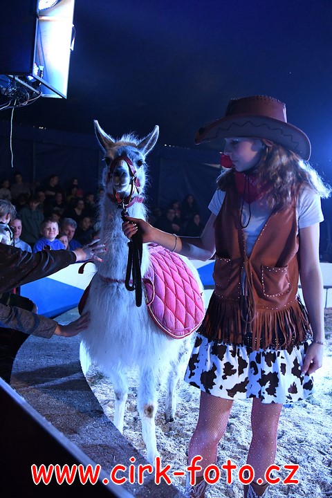 DSC_5161 (Kopírovat)