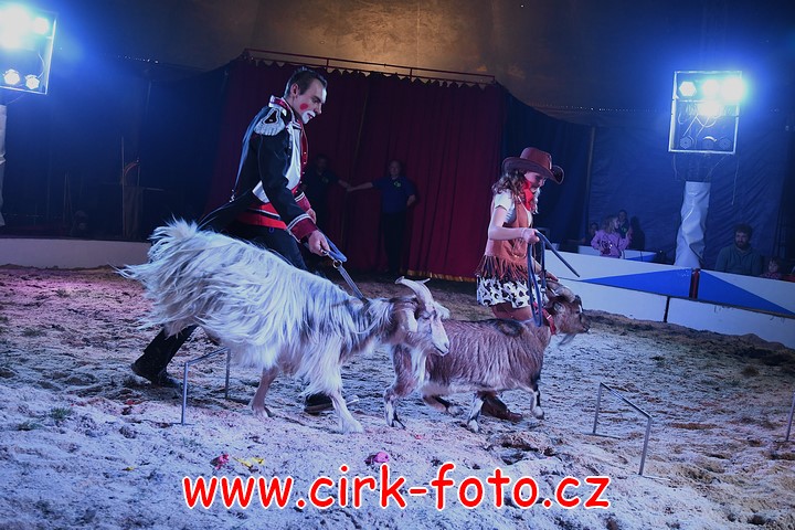 DSC_5165 (Kopírovat)